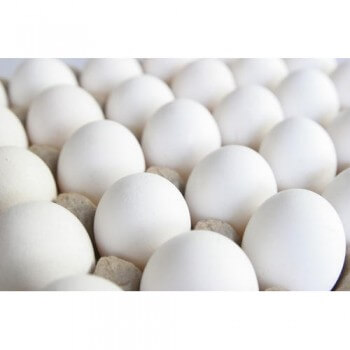 Fresh  White Chicken Eggs